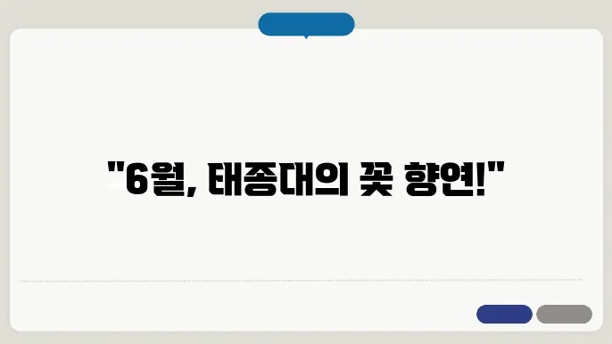 태종대의 여름 풍경