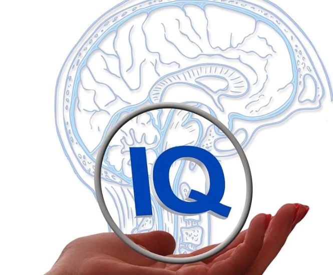 경계성 지능장애 특징 4가지 및 경계성 지능장애 검사 방법과 비용