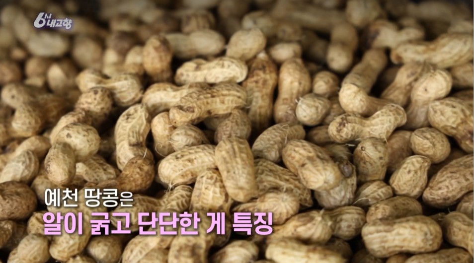내고향스페셜 예천 땅콩