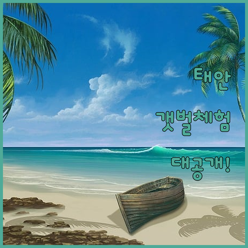 태안 가족 여행 숙소 추천 갯벌 체험..