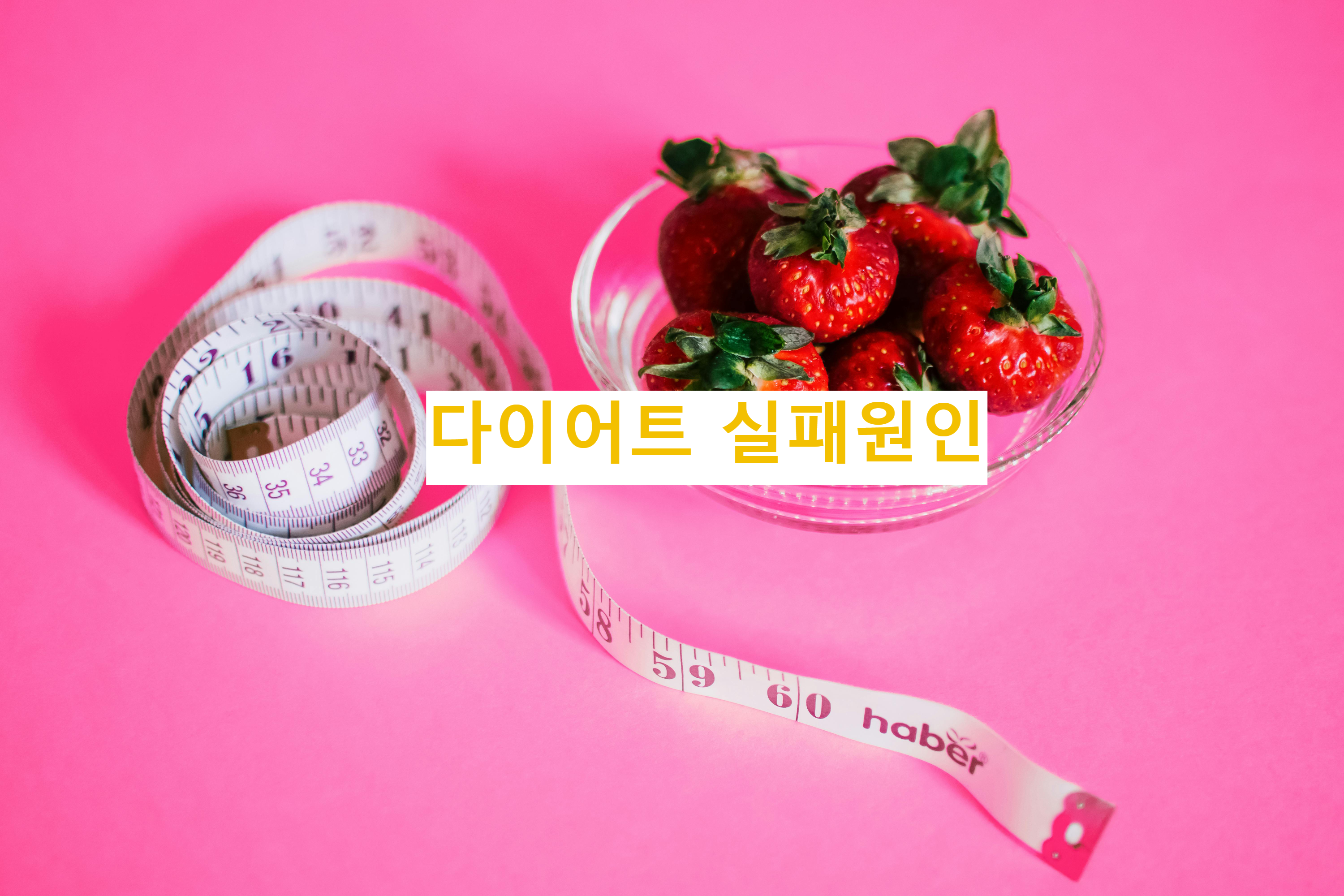 다이어트실패원인