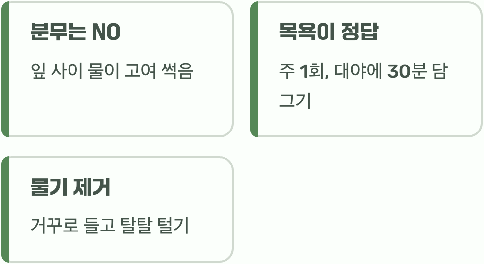 가장 큰 오해&amp;#44; 물 주기 방법