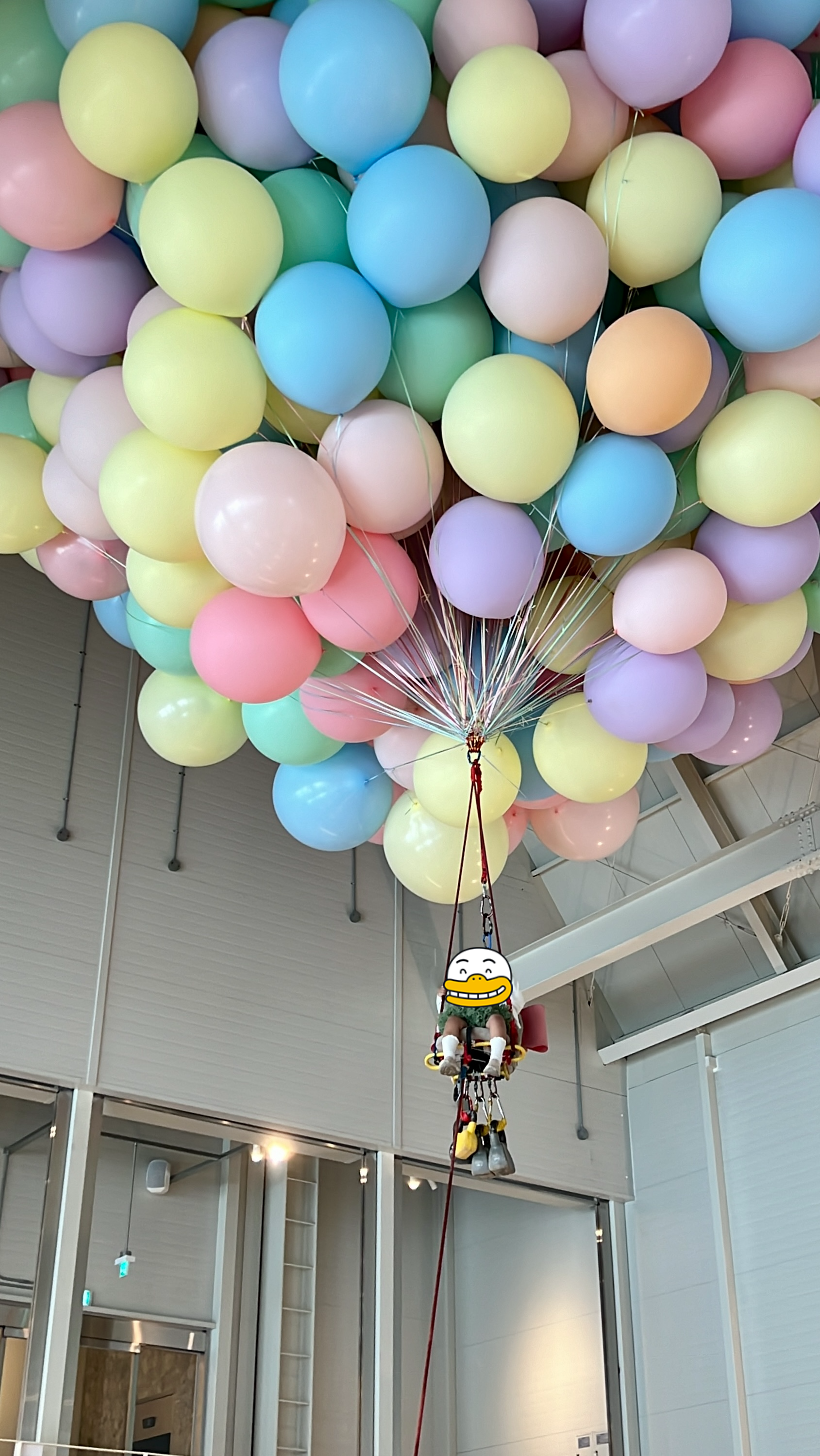 양산 마고플레인 비비하우스 날다 체험 촬영 꿀팁 포토존 2층