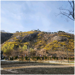응봉산