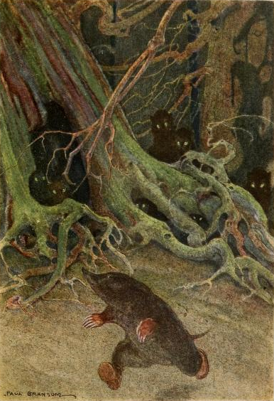 버드나무에-부는-바람-두더지