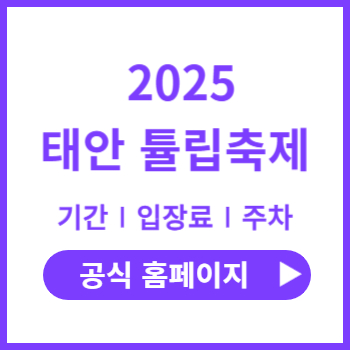 2025-태안-튤립축제