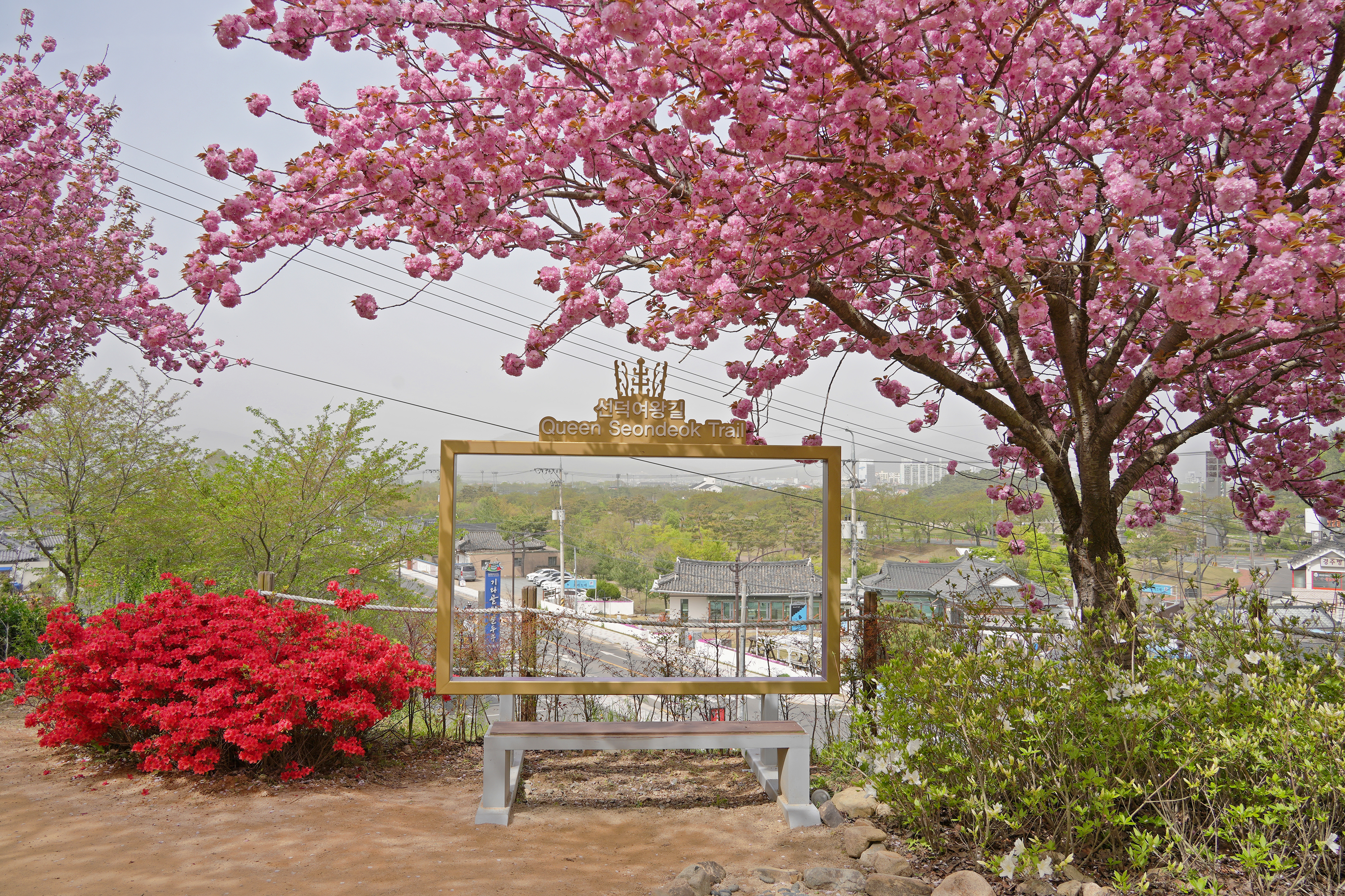 선덕여왕길 관련사진 3