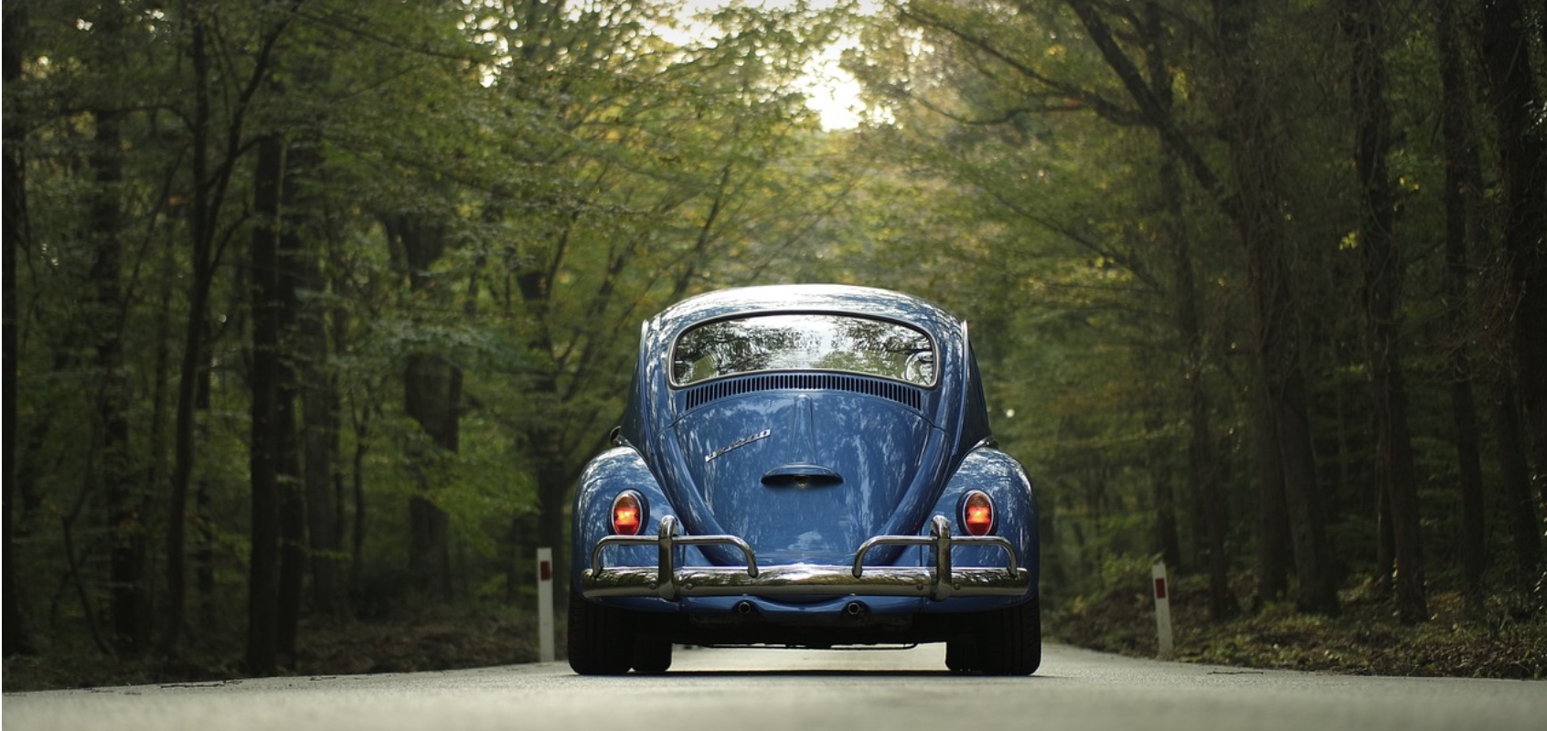 대구 차박 여행 관련사진