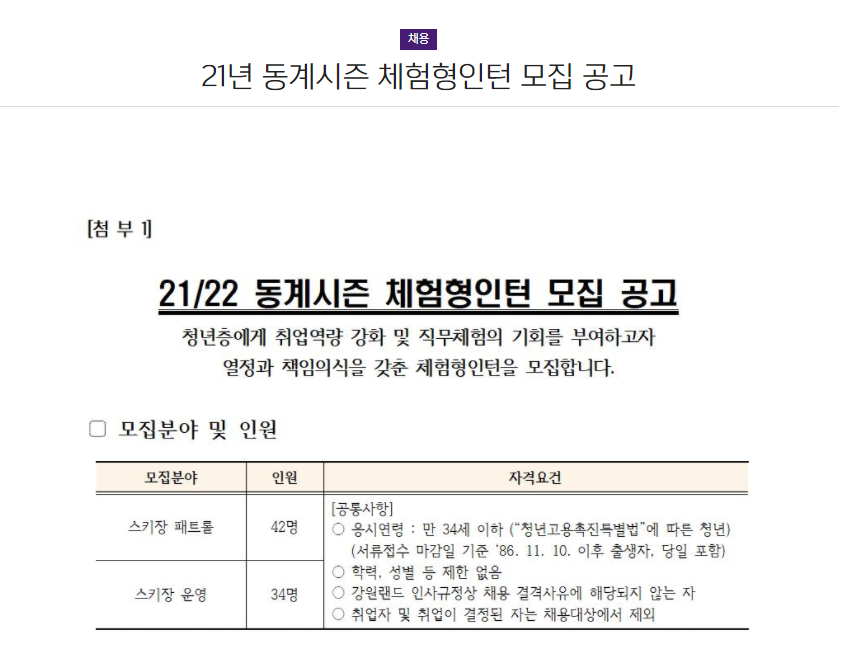 강원랜드 체험형 인턴 채용