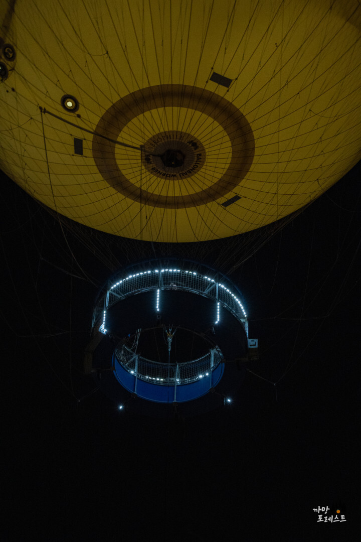 플라잉 수원 밤