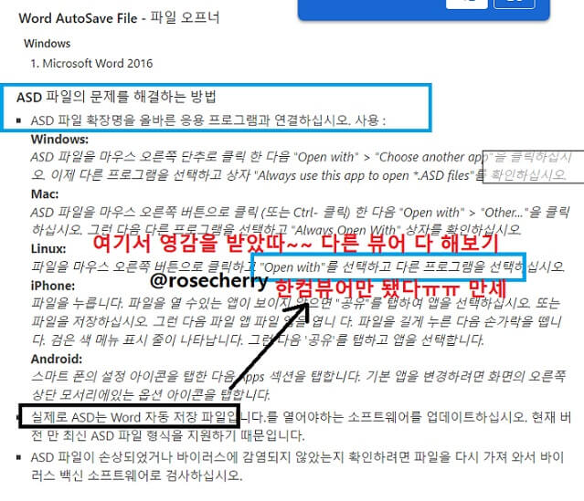 ASD는-word-자동저장파일이라고-한다-이-파일을-마우스-오른쪽버튼으로-클릭한다음-다른-파일로-열어보라는부분에서-영감을-받아-내가-가지고-있던-뷰어를-다-활용해보았다