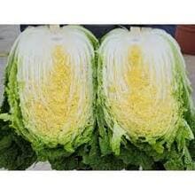 2024 절임배추 구매 방법 사전 예약 