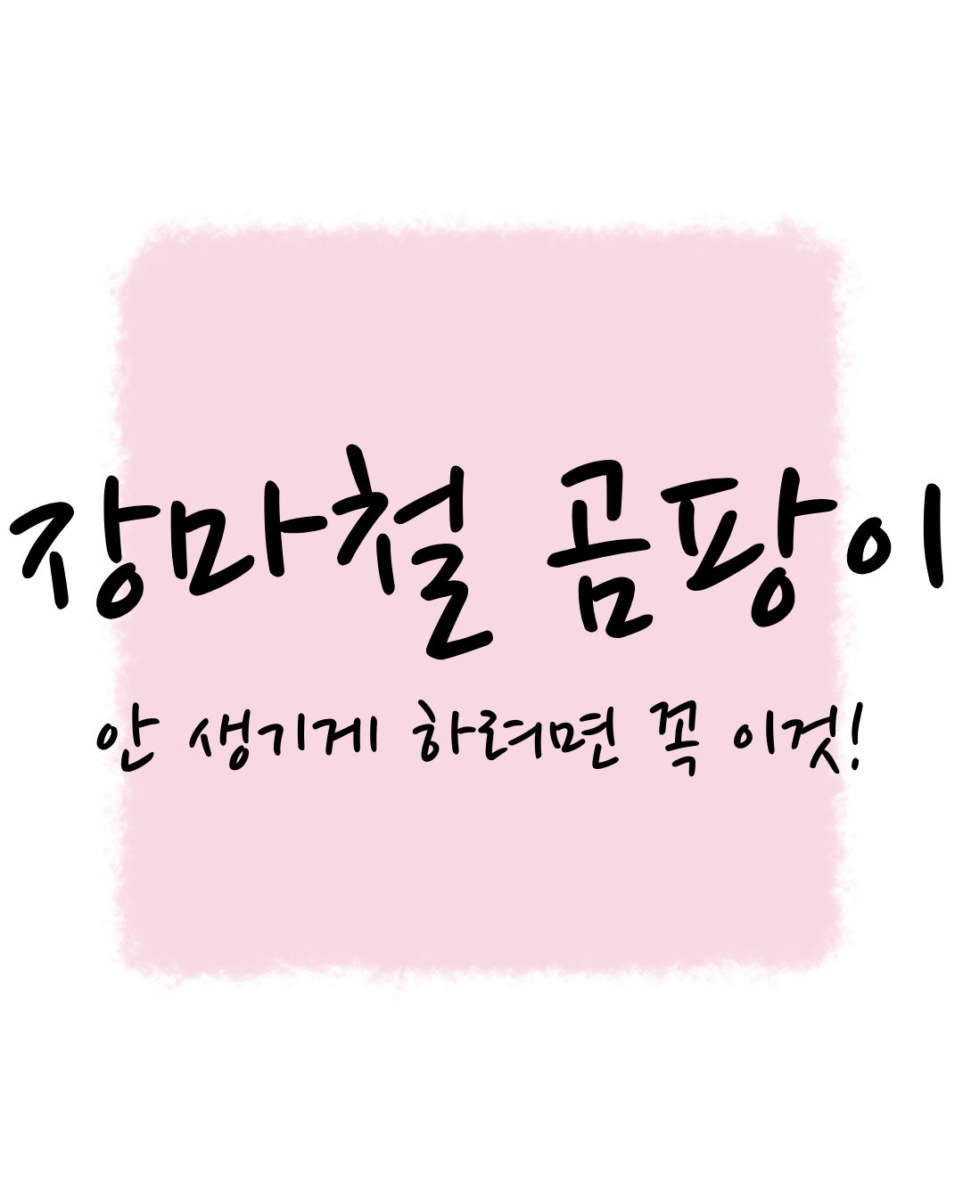 장마철 옷장 곰팡이 안 생기게 하려면 꼭 이것!