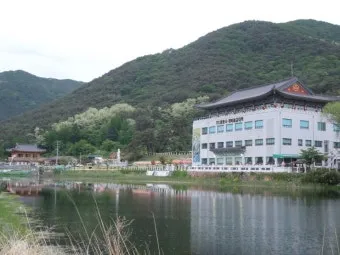대구 경북 불교 문화유산 따라가는 역사 깊은 사찰 탐방_5