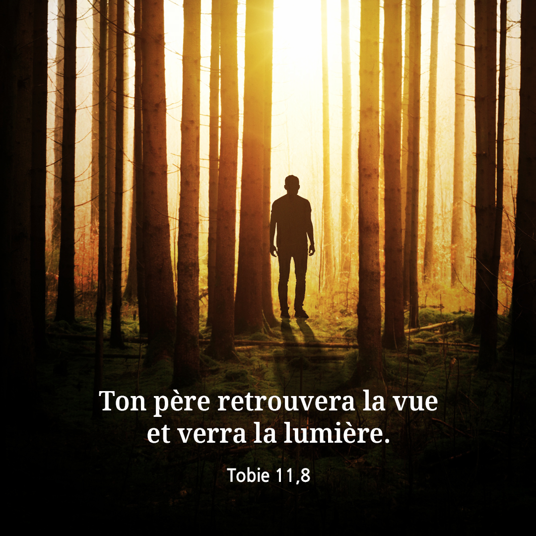 Ton p&egrave;re retrouvera la vue et verra la lumi&egrave;re. (Tobie 11&#44;8)