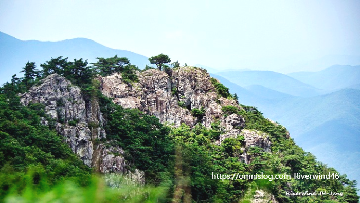 아름다운 간월공릉