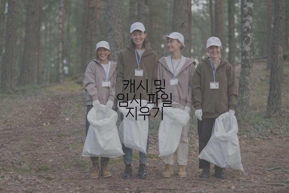 캐시 및 임시 파일 지우기