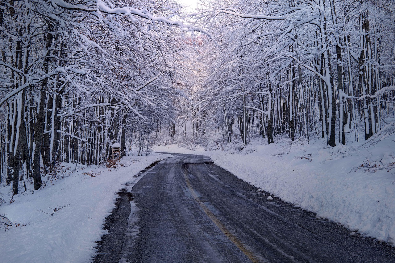 겨울 국내 여행지 추천 제천 조용히 쉬기 좋은 소도시 여행
