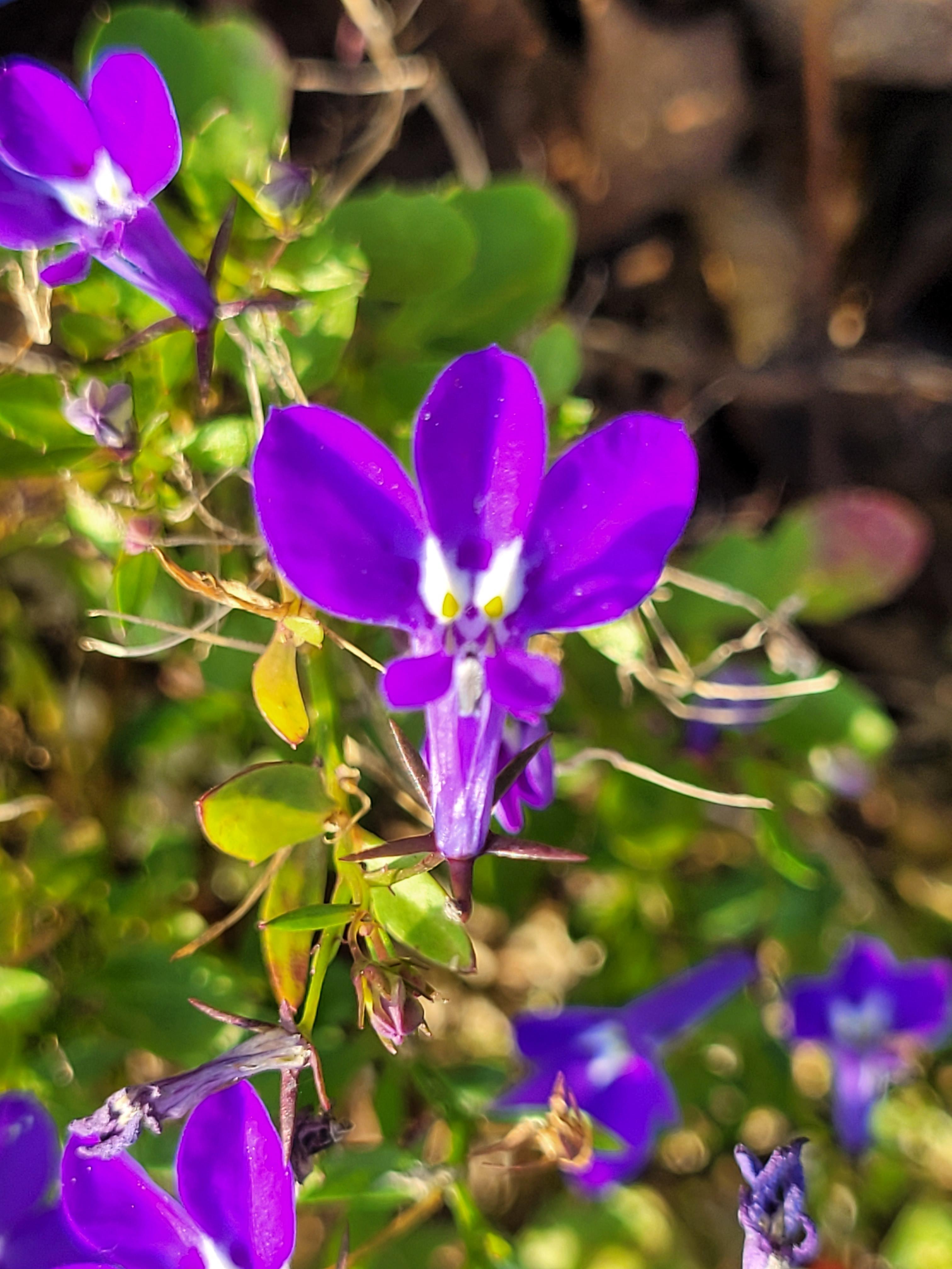 일상 속 꽃 한 송이의 힘