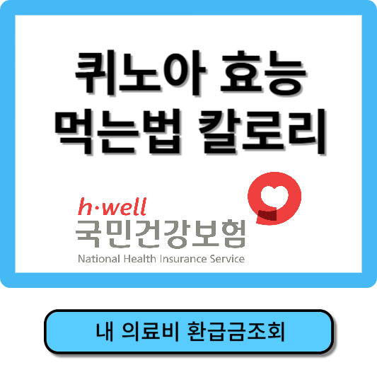 퀴노아의 효능