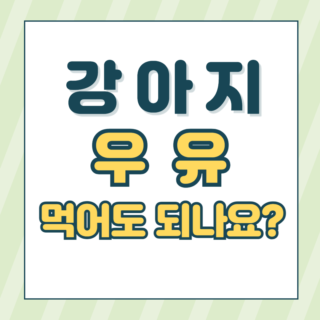 강아지우유
