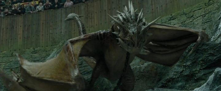 트라이위저드-첫번째-시합-용과의-대결