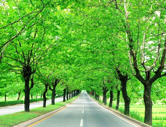 청주 가볼만한곳 베스트 10