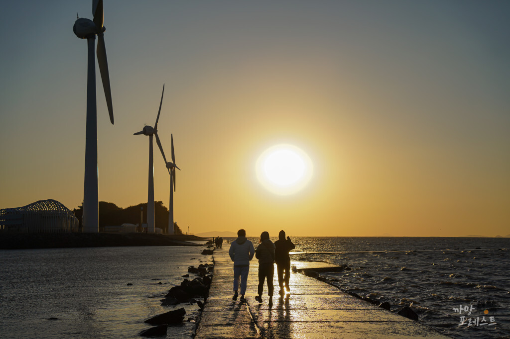 안산 탄도항 산책로