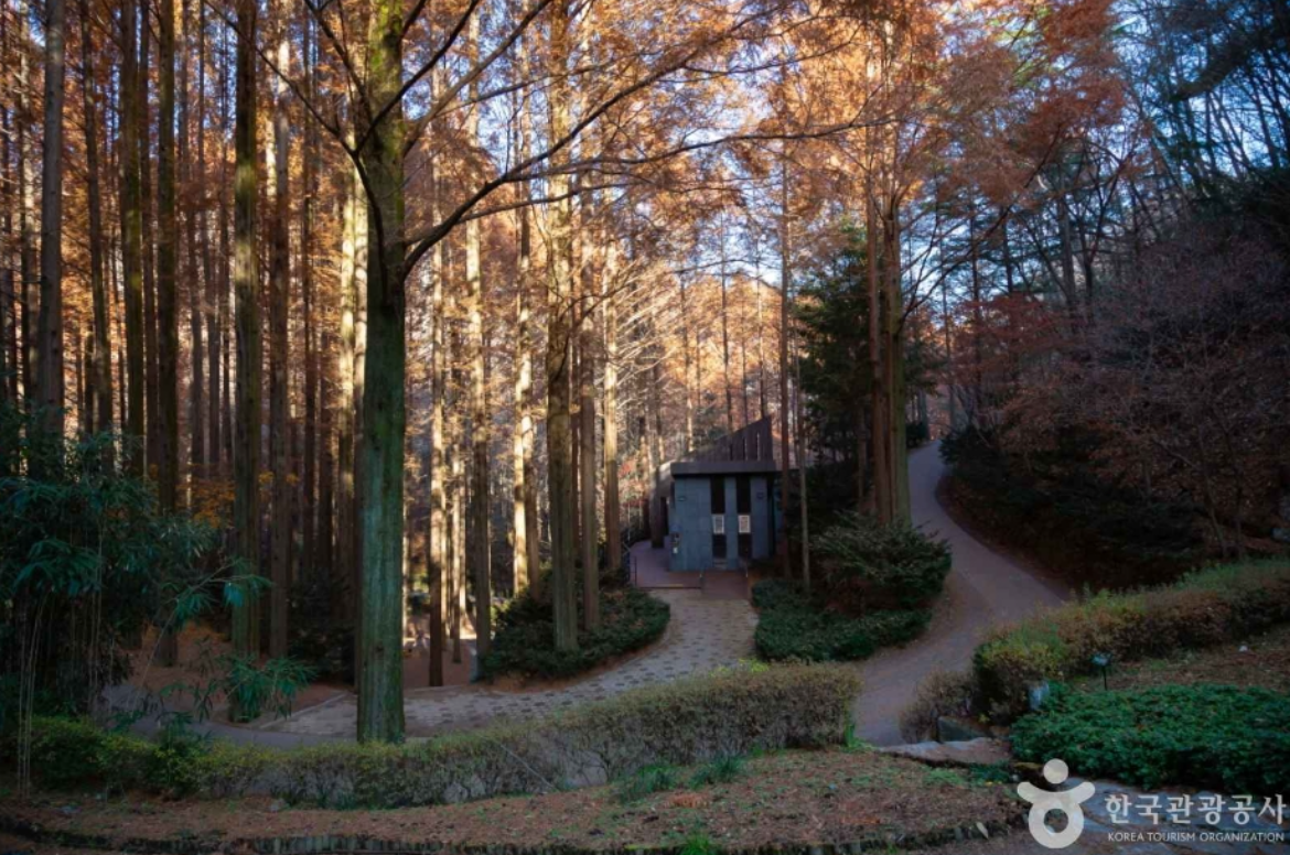 장태산 자연휴양림 예약방법