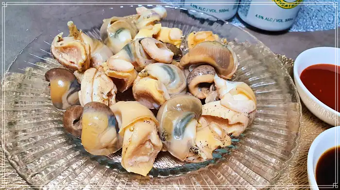 TBJ 생방송투데이 포항 구룡포시장 전국 택배 주문 백고둥구이 맛집