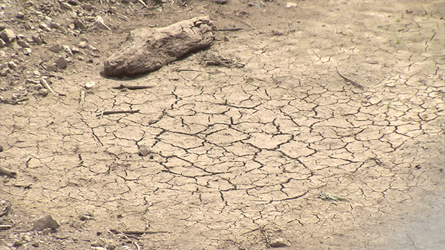 강릉 가뭄 특별재난지역 선포