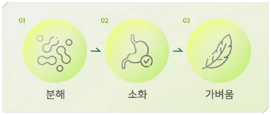 악타멜라인 효과 분석
