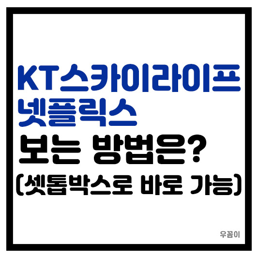 KT 스카이라이프 넷플릭스 보는 방법