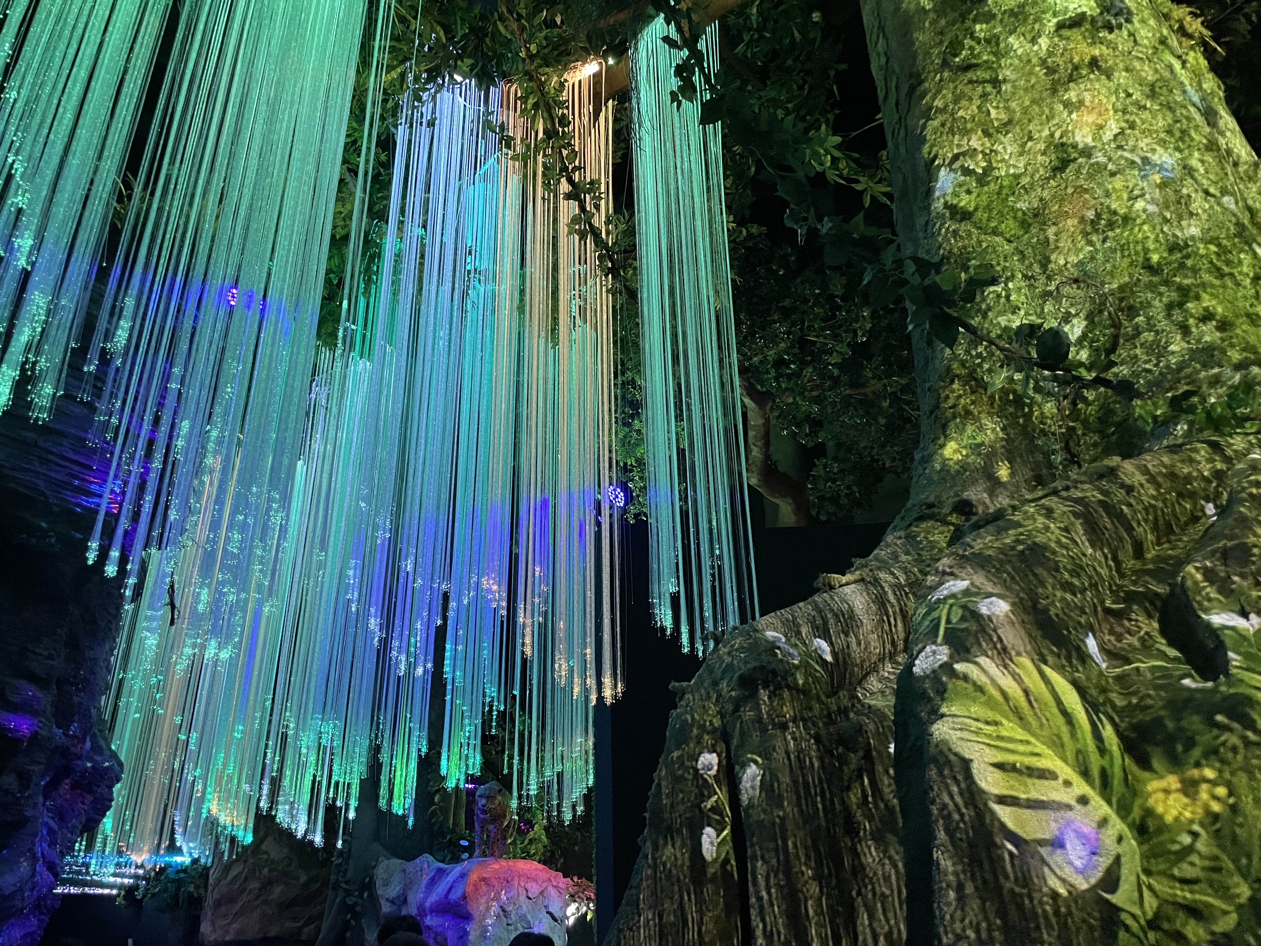 여수 아쿠아플라넷