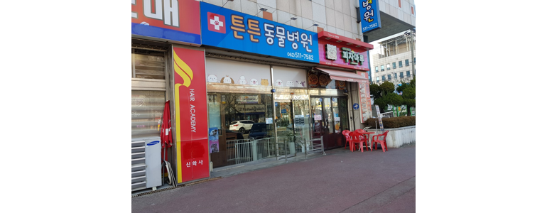 광주 동구 동물병원