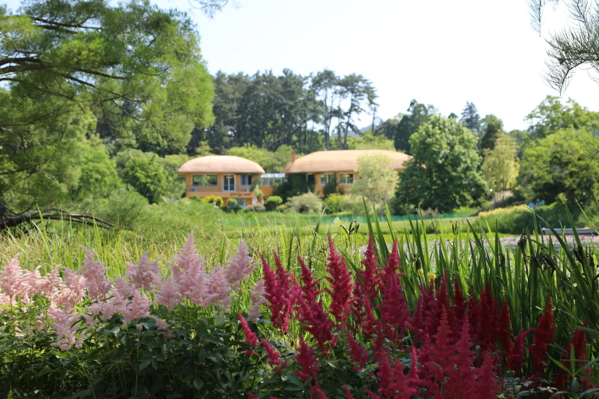 천리포 수목원 목련축제 입장료 여행코스_2