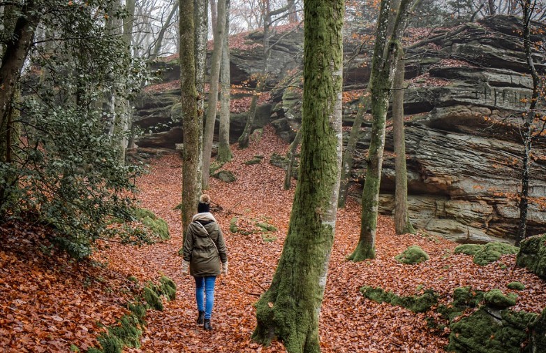바위와 나무사이로 등산을 하는 여자이미지