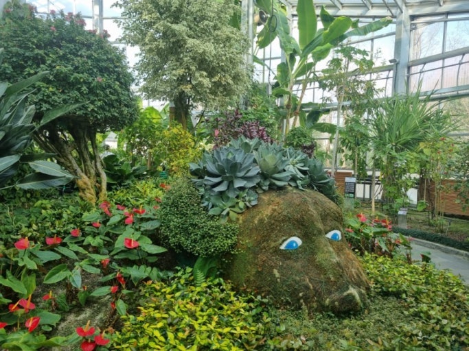 한밭수목원 열대식물원