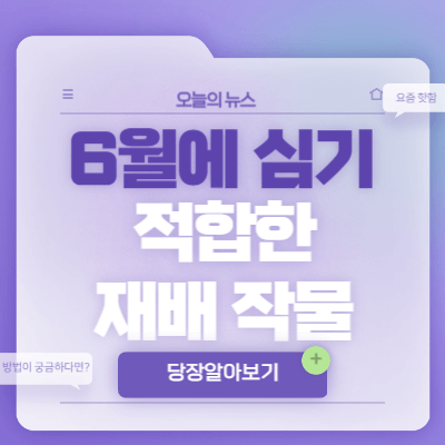 6월에-심기-적합한-재배-작물