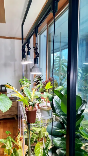 식물등 설치 위치높이 시간대설정 광량부족 해결 겨울철 성장 돕기_33