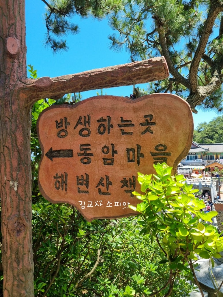 ✨부산 해동용궁사 꿀팁 총정리|108번뇌, 절밥 공양, 교통정보까지!✨