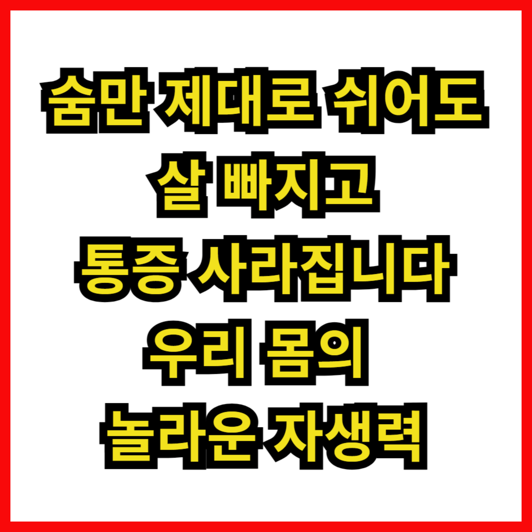 숨만 제대로 쉬어도 살 빠지고 통증 사라집니다: 우리 몸의 놀라운 자생력