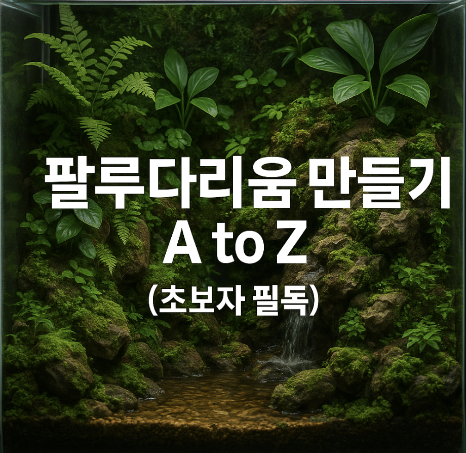 팔루다리움 만들기 A to Z (초보자 필독)