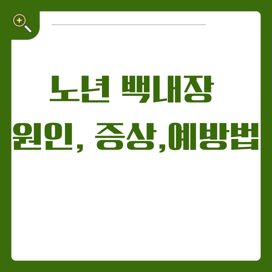 노년 백내장, 건강한 노년을 위한 눈 건강 관리