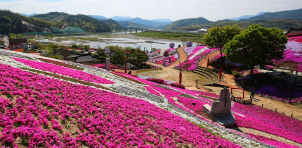 4월 부산 근교 봄축제 TOP 05 데이트 가족나들이 가볼만한곳