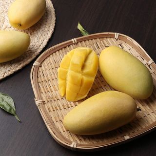 홈플러스 홈플런 전단 행사 쿠폰 혜택 총정리