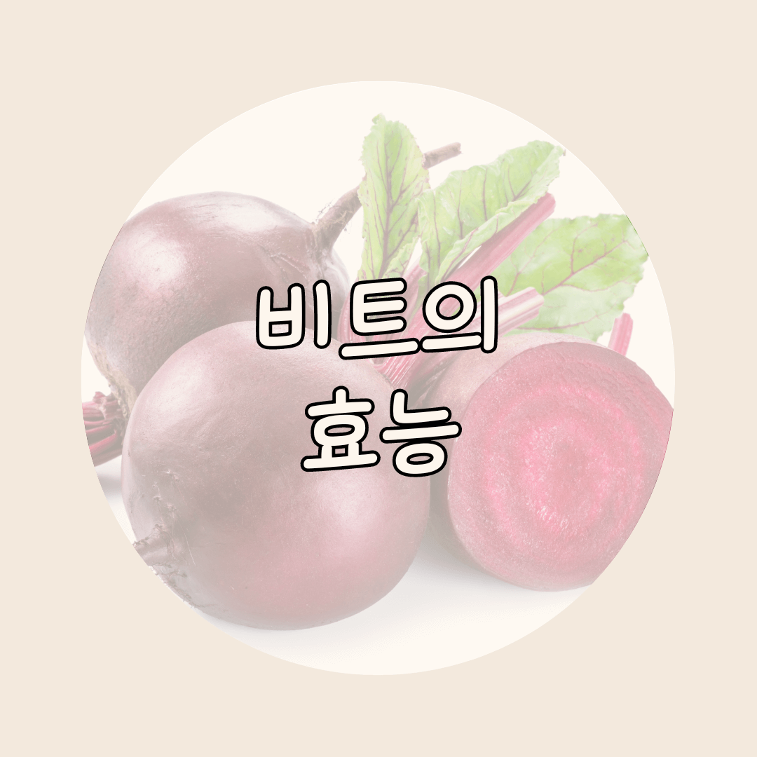 비트의 효능