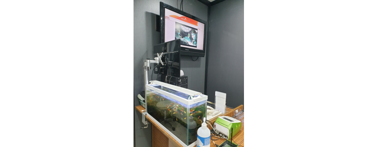 서울 강서구 동물병원