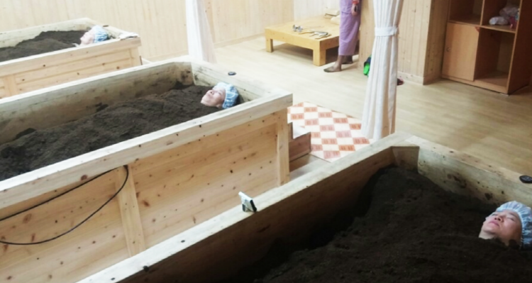 장흥 우드랜드 편백숲