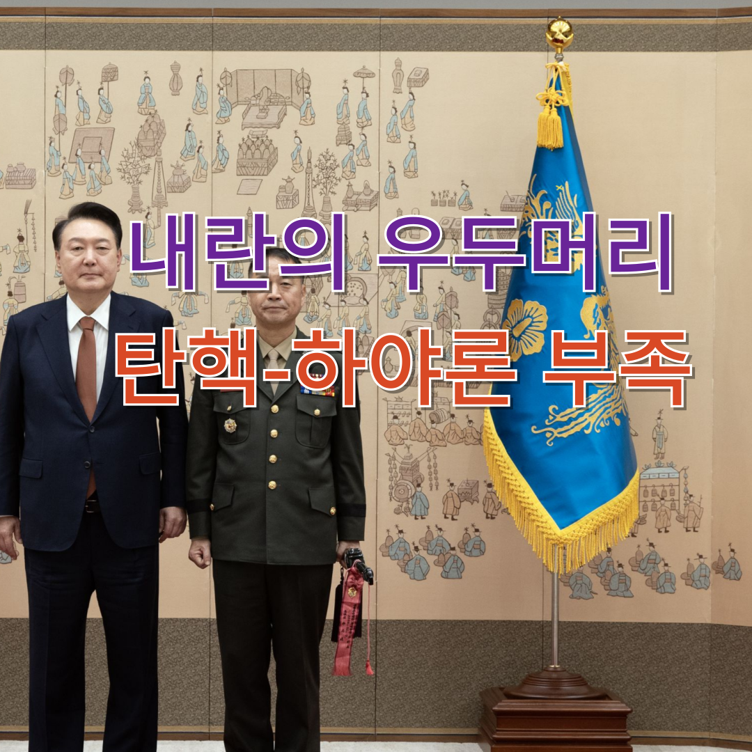 내란의 우두머리 탄핵-하야론 부족